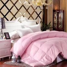  南寧市天賜羽絨制品經營部 主營 羽絨被現充現賣