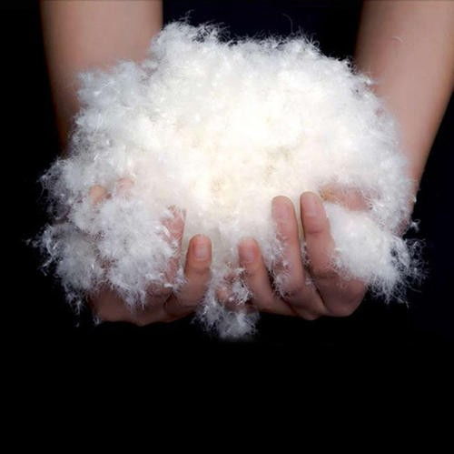 羽絨制品檢測(cè) 廣州鴨絨與鵝絨的全面分析與制造標(biāo)準(zhǔn)